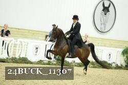 24BUCK_11307 thumbnail