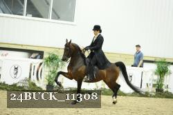 24BUCK_11308 thumbnail