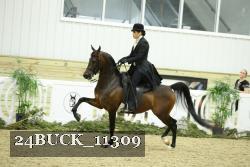 24BUCK_11309 thumbnail
