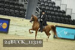 24BUCK_11310 thumbnail