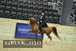 24BUCK_11311 thumbnail