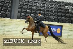 24BUCK_11313 thumbnail
