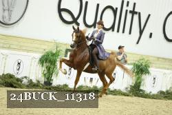 24BUCK_11318 thumbnail