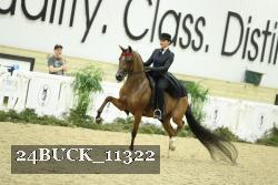 24BUCK_11322 thumbnail