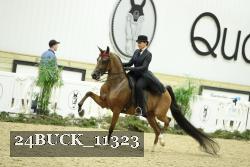 24BUCK_11323 thumbnail