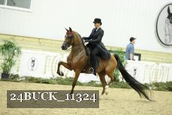24BUCK_11324 thumbnail