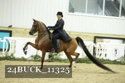 24BUCK_11325 thumbnail