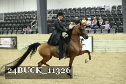 24BUCK_11326 thumbnail