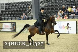 24BUCK_11327 thumbnail