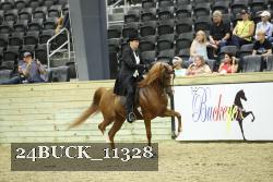 24BUCK_11328 thumbnail