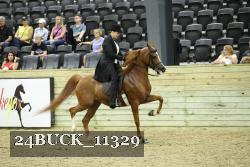 24BUCK_11329 thumbnail