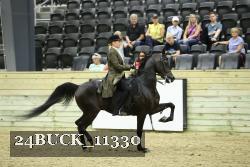 24BUCK_11330 thumbnail