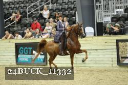 24BUCK_11332 thumbnail