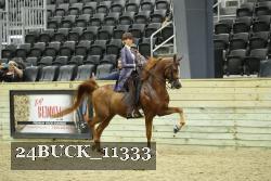 24BUCK_11333 thumbnail