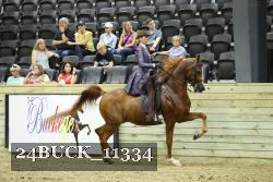 24BUCK_11334 thumbnail