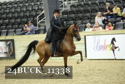 24BUCK_11338 thumbnail
