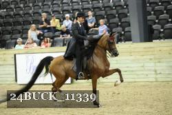 24BUCK_11339 thumbnail