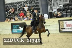 24BUCK_11340 thumbnail