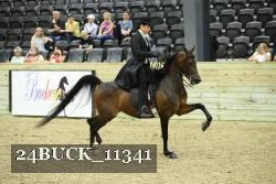 24BUCK_11341 thumbnail