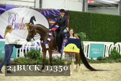 24BUCK_11350 thumbnail