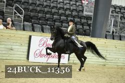 24BUCK_11356 thumbnail
