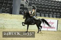 24BUCK_11357 thumbnail