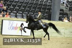 24BUCK_11358 thumbnail