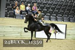 24BUCK_11359 thumbnail