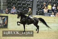 24BUCK_11362 thumbnail