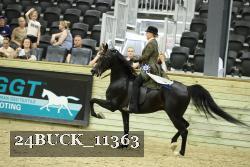 24BUCK_11363 thumbnail