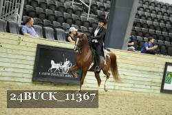 24BUCK_11367 thumbnail