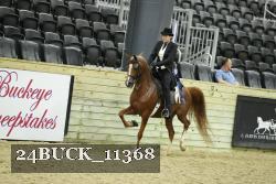 24BUCK_11368 thumbnail
