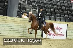 24BUCK_11369 thumbnail