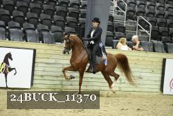 24BUCK_11370 thumbnail