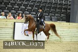 24BUCK_11373 thumbnail