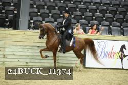 24BUCK_11374 thumbnail
