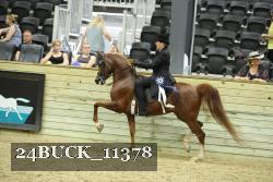 24BUCK_11378 thumbnail