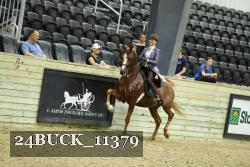 24BUCK_11379 thumbnail