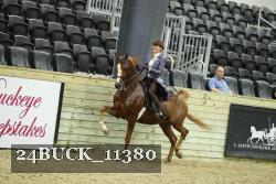 24BUCK_11380 thumbnail