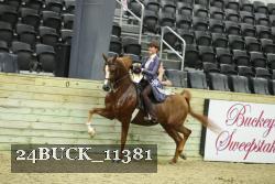 24BUCK_11381 thumbnail