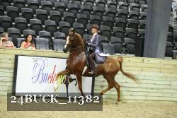 24BUCK_11382 thumbnail