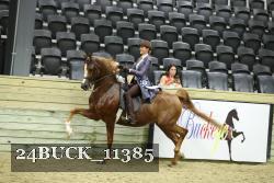 24BUCK_11385 thumbnail
