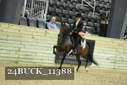 24BUCK_11388 thumbnail