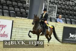 24BUCK_11389 thumbnail