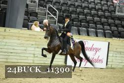24BUCK_11390 thumbnail
