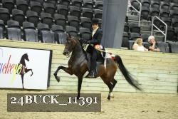24BUCK_11391 thumbnail