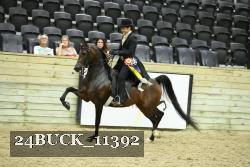 24BUCK_11392 thumbnail