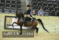 24BUCK_11394 thumbnail