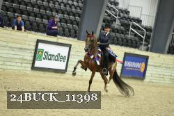 24BUCK_11398 thumbnail
