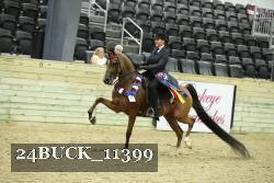 24BUCK_11399 thumbnail